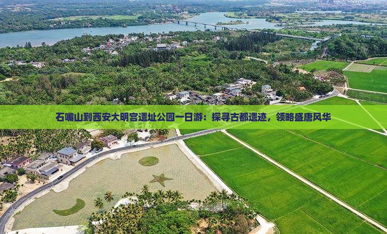 石嘴山到西安大明宫遗址公园一日游：探寻古都遗迹，领略盛唐风华