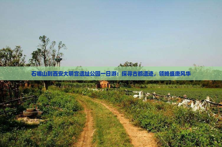 石嘴山到西安大明宫遗址公园一日游：探寻古都遗迹，领略盛唐风华