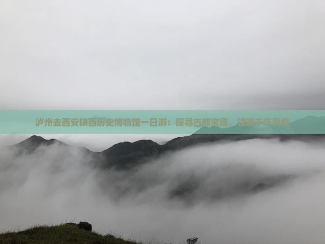 泸州去西安陕西历史博物馆一日游：探寻古都宝藏，领略千年风情