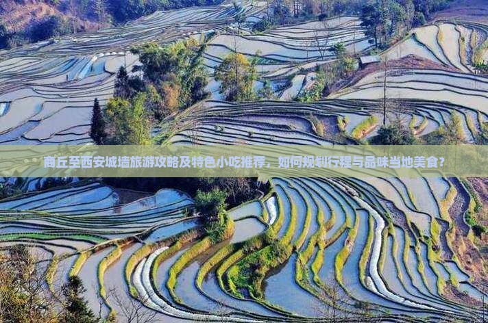 商丘至西安城墙旅游攻略及特色小吃推荐，如何规划行程与品味当地美食？