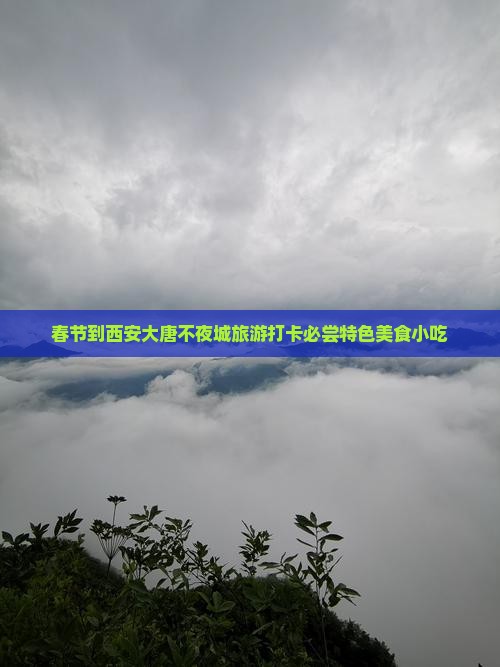 春节到西安大唐不夜城旅游打卡必尝特色美食小吃