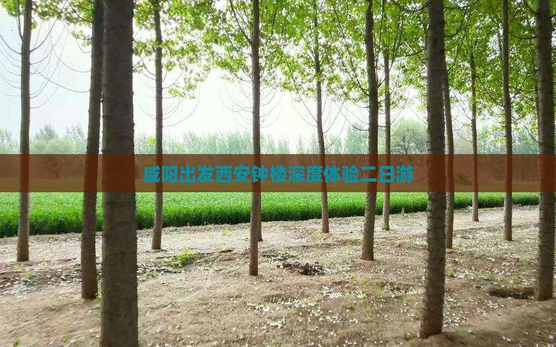 咸阳出发西安钟楼深度体验二日游