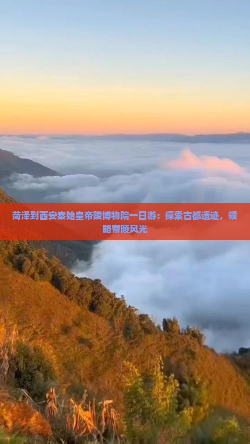 菏泽到西安秦始皇帝陵博物院一日游：探索古都遗迹，领略帝陵风光