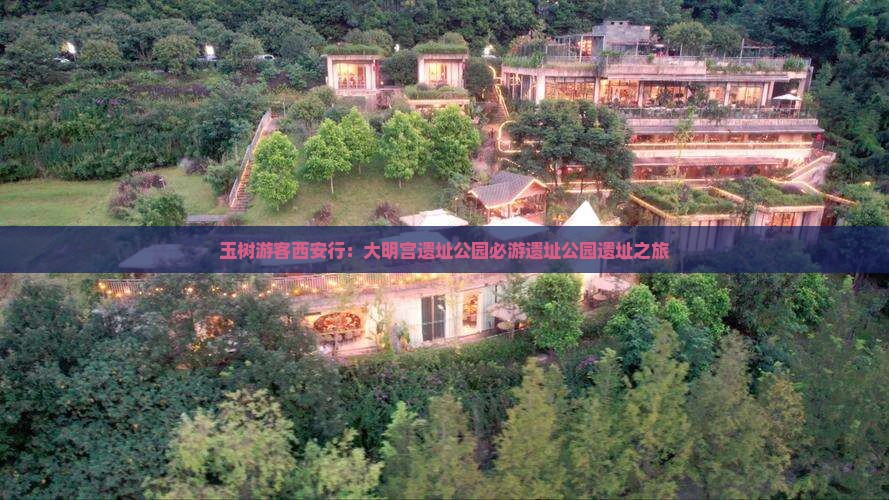 玉树游客西安行：大明宫遗址公园必游遗址公园遗址之旅