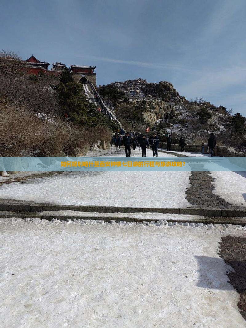 如何规划喀什至西安钟楼七日游的行程与旅游攻略？