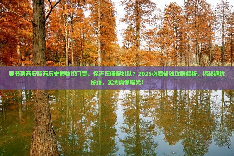 春节到西安陕西历史博物馆门票