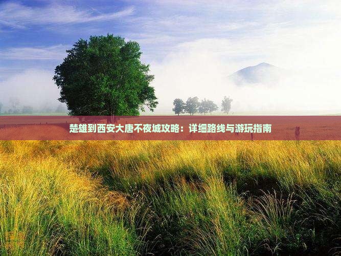 楚雄到西安大唐不夜城攻略