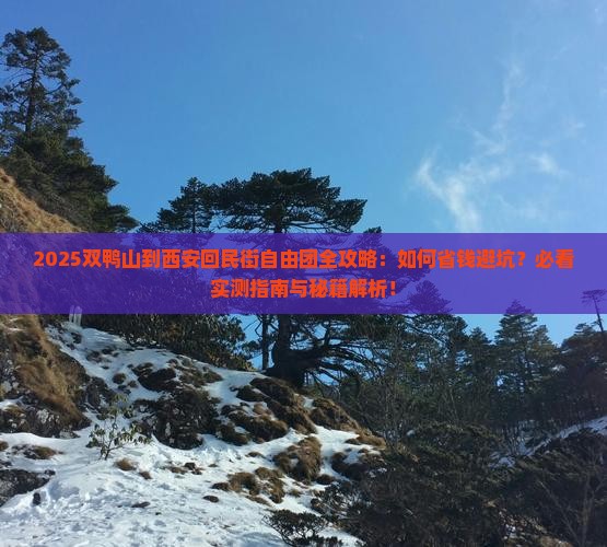 双鸭山到西安回民街自由团