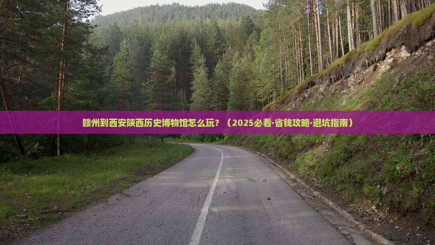 赣州到西安陕西历史博物馆哪里玩