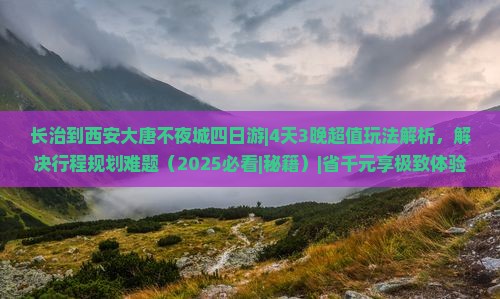 长治到西安大唐不夜城四日游