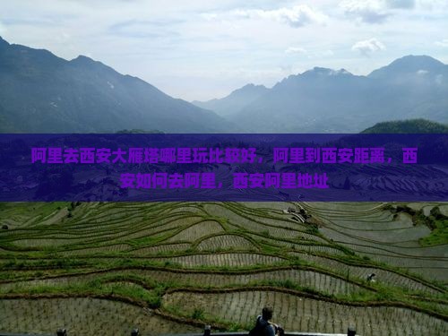 阿里去西安大雁塔哪里玩