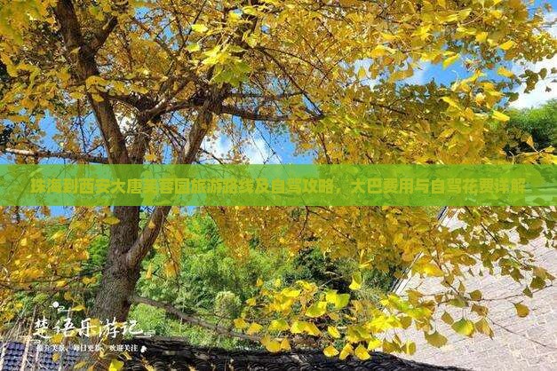珠海到西安大唐芙蓉园旅游
