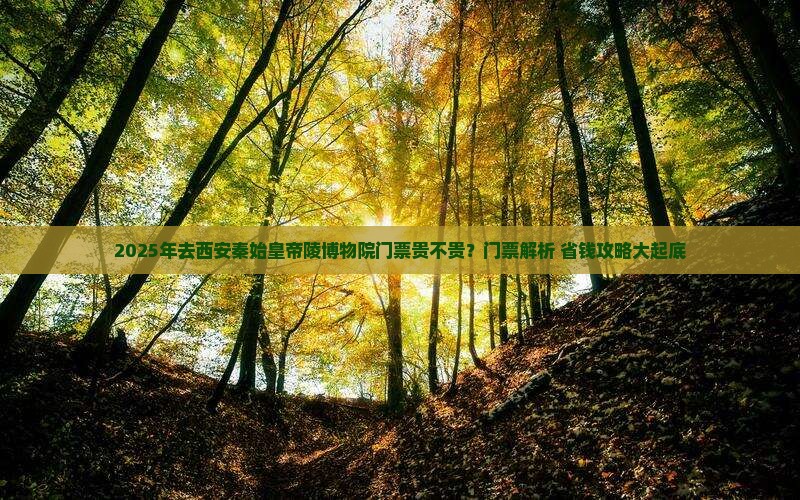丽水去西安秦始皇帝陵博物院门票