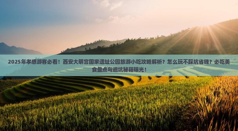 孝感到西安大明宫国家遗址公园旅游小吃 孝感到西安大明宫国家遗址公园旅游小吃