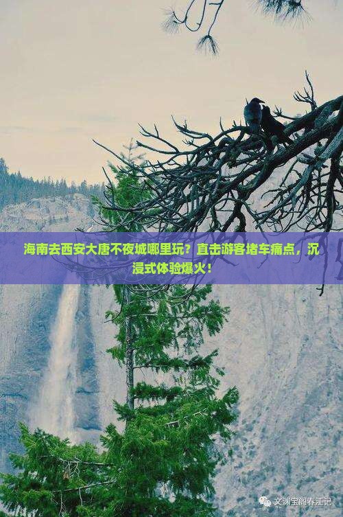海南去西安大唐不夜城哪里玩