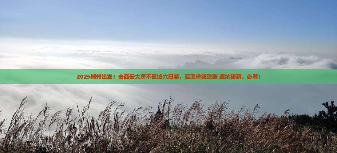 郴州去西安大唐不夜城六日游