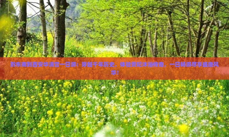 黔东南到西安华清宫一日游