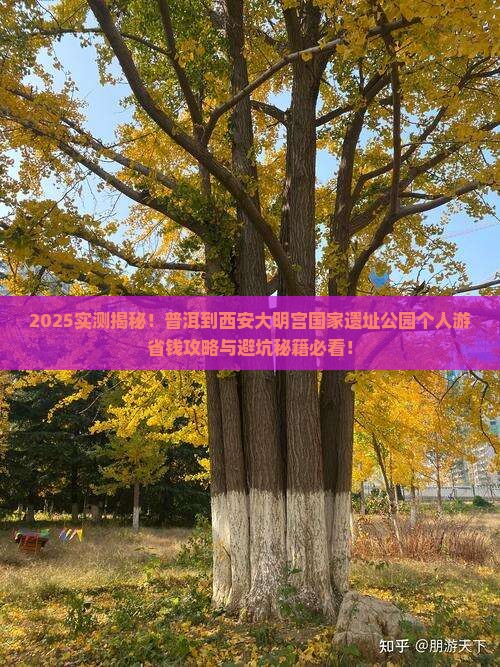 普洱到西安大明宫国家遗址公园个人游
