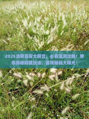 清明节到西安大明宫国家遗址公园景点