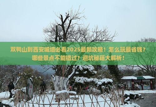 双鸭山到西安城墙哪里玩