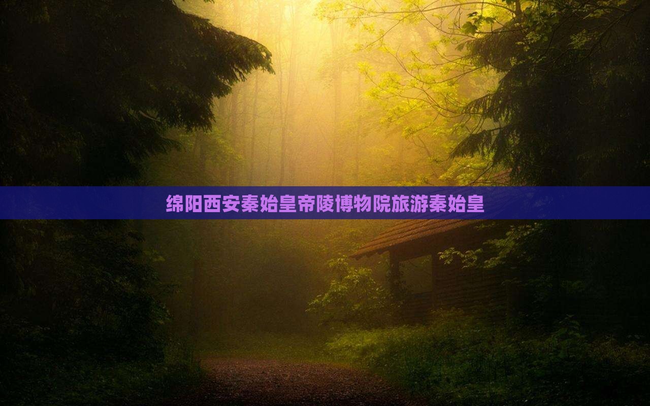 绵阳到西安秦始皇帝陵博物院旅游