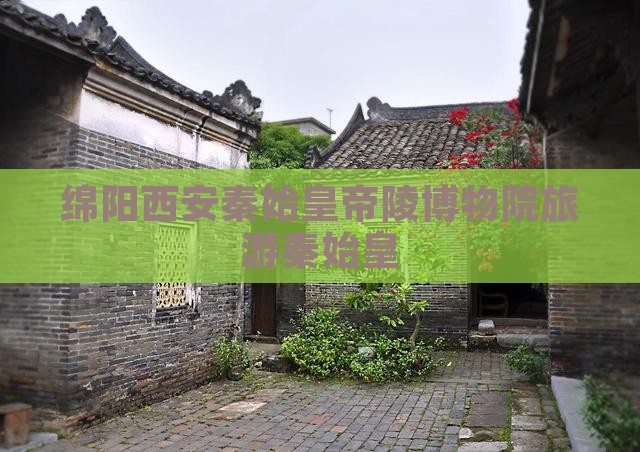 绵阳到西安秦始皇帝陵博物院旅游