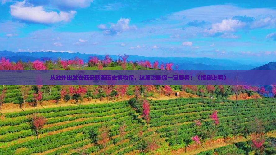 池州去西安陕西历史博物馆攻略