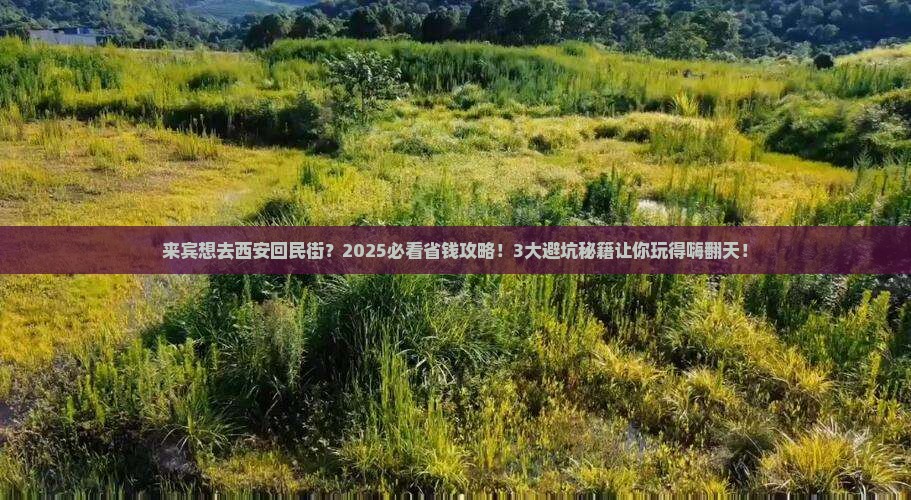 来宾去西安回民街旅行社