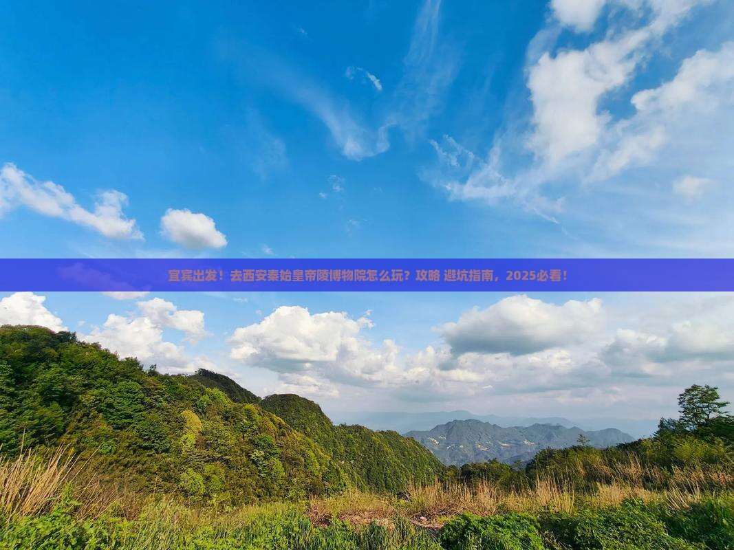 宜宾到西安秦始皇帝陵博物院旅行社