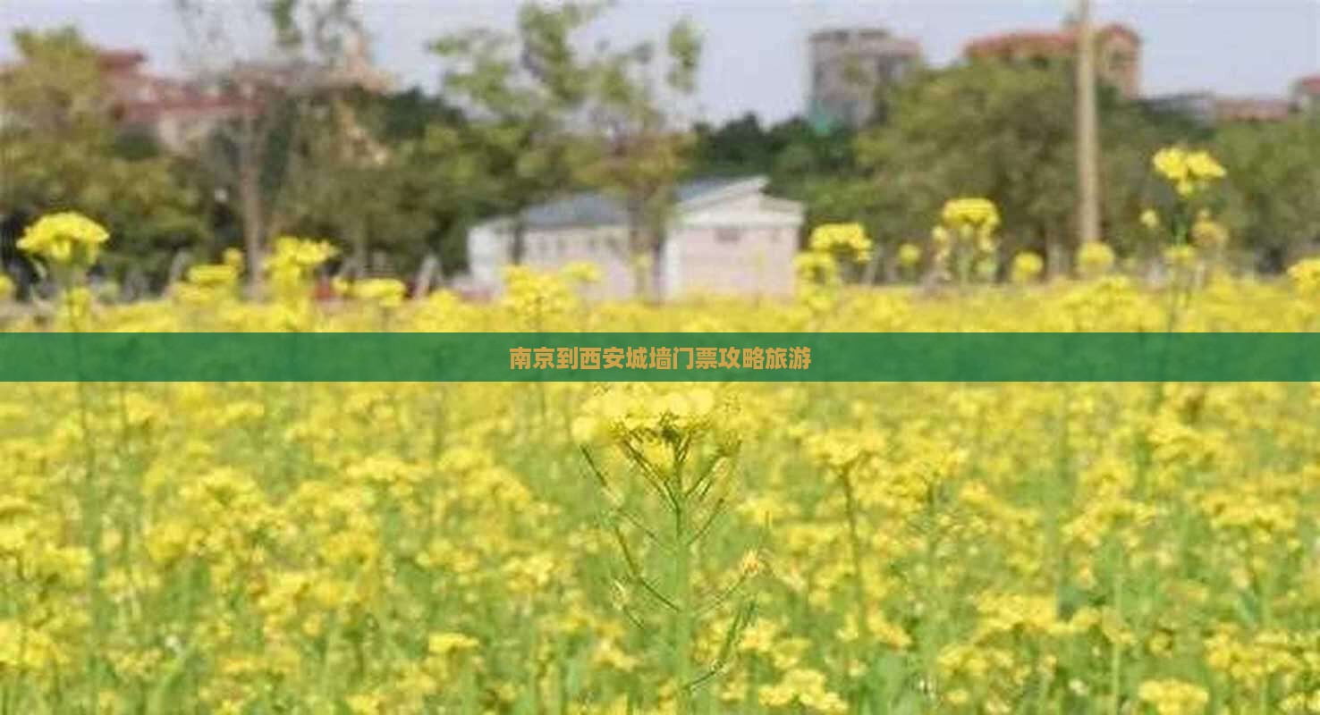 南京到西安城墙门票