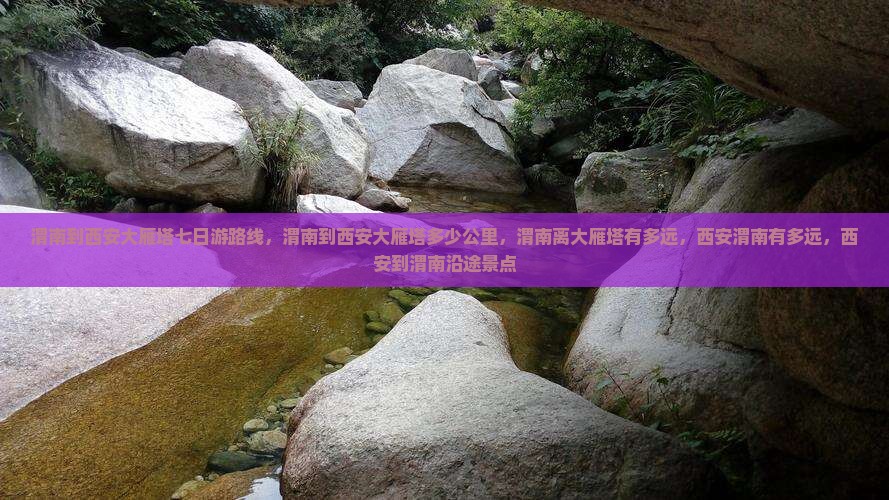 渭南到西安大雁塔七日游