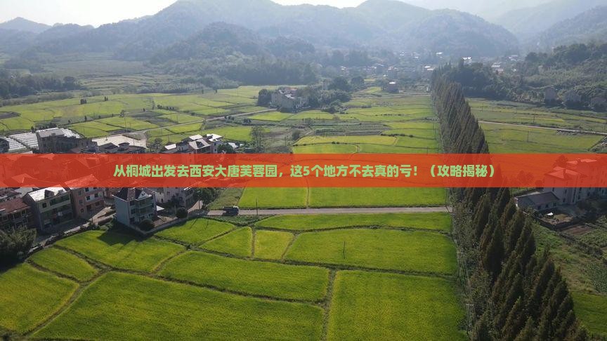 桐城去西安大唐芙蓉园必去地