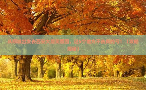 桐城去西安大唐芙蓉园必去地