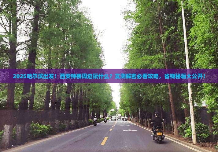 哈尔滨到西安钟楼哪里玩