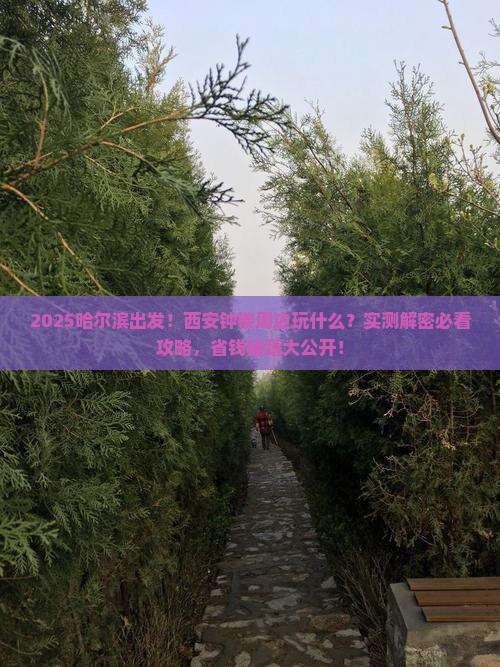 哈尔滨到西安钟楼哪里玩