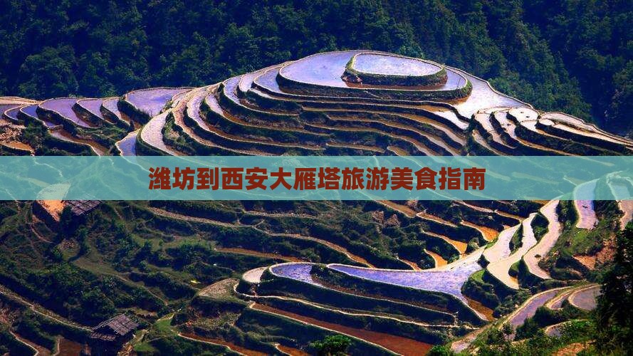 潍坊到西安大雁塔旅游小吃