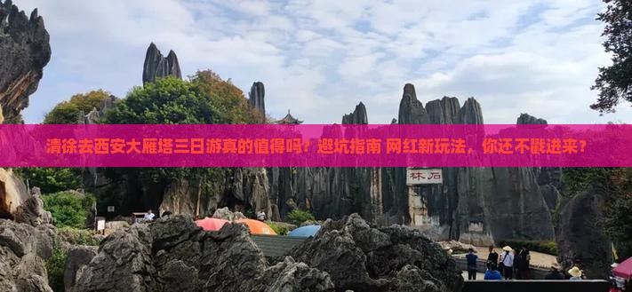 清徐去西安大雁塔三日游