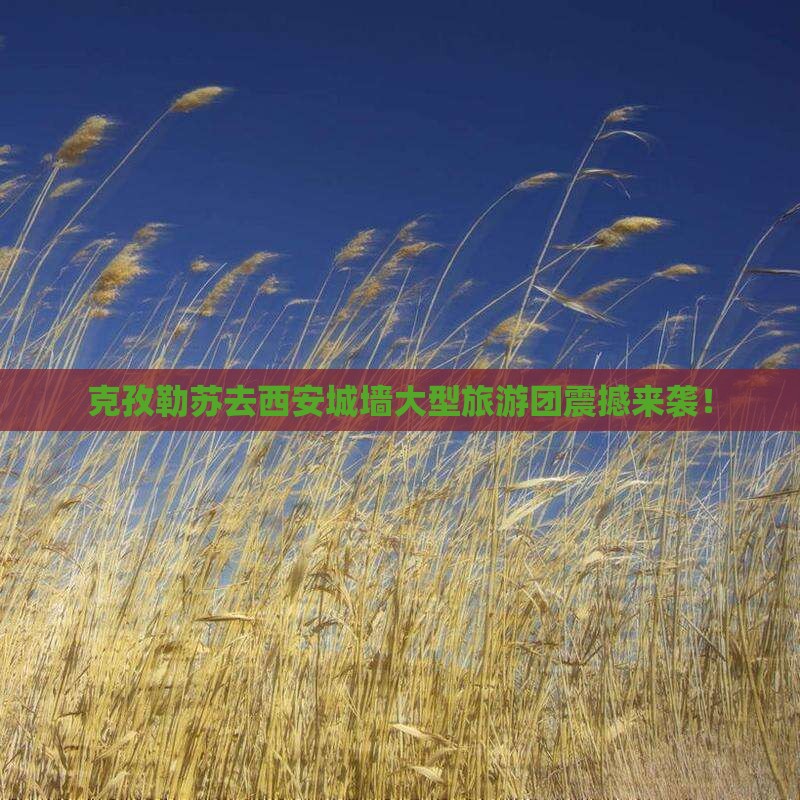 克孜勒苏去西安城墙大型旅游团