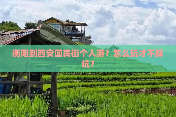 衡阳到西安回民街个人游