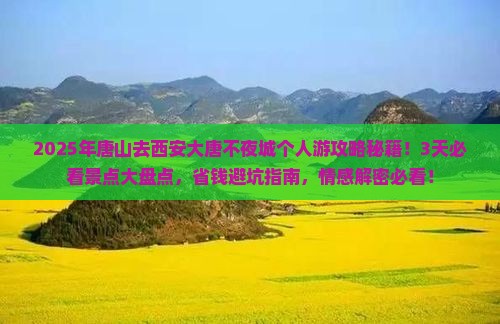 唐山去西安大唐不夜城个人游
