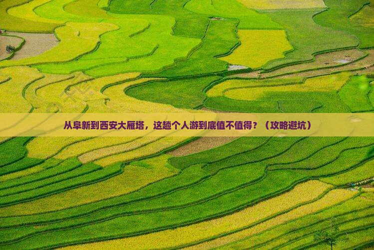 阜新到西安大雁塔个人游