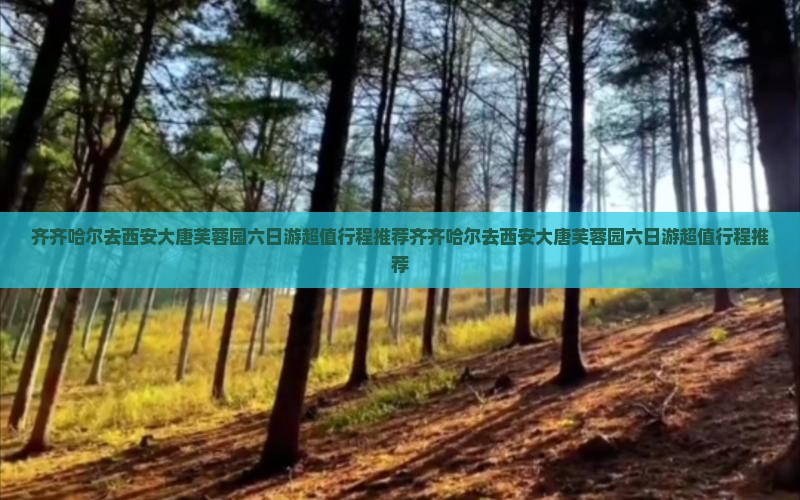 齐齐哈尔去西安大唐芙蓉园六日游