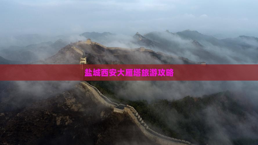 盐城到西安大雁塔自由团