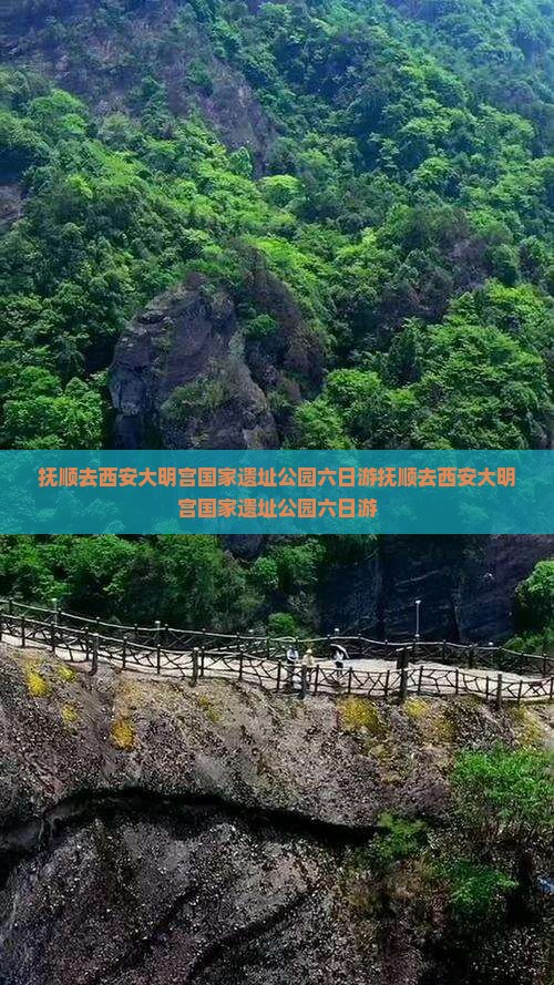 抚顺去西安大明宫国家遗址公园六日游