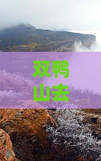 双鸭山去西安大唐不夜城七日游
