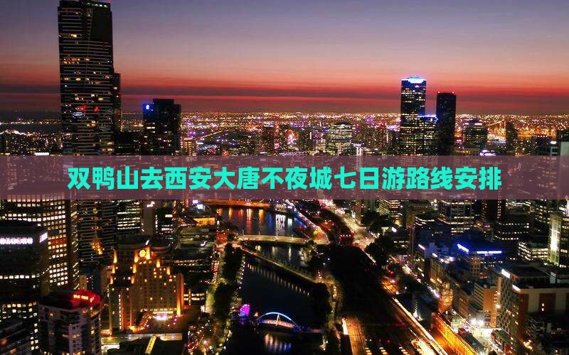 双鸭山去西安大唐不夜城七日游
