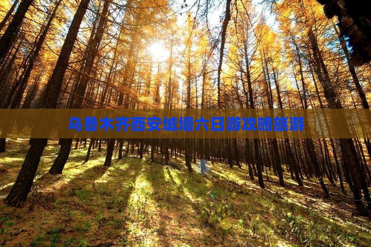 乌鲁木齐去西安城墙六日游