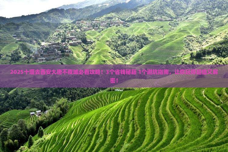 十堰去西安大唐不夜城攻略
