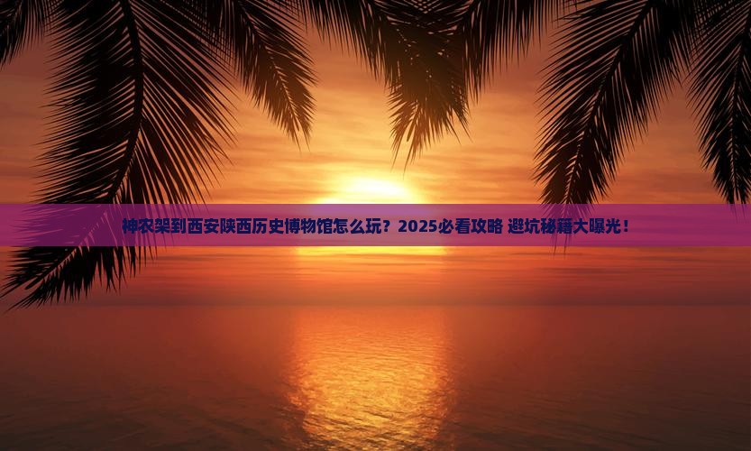 神农架到西安陕西历史博物馆景点