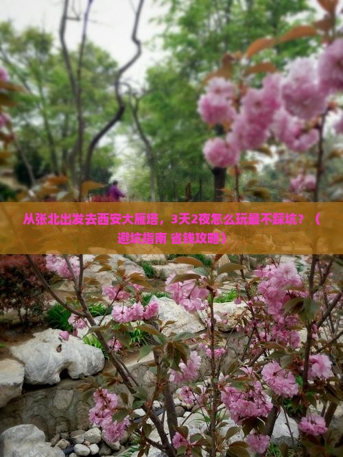 张北去西安大雁塔旅行社